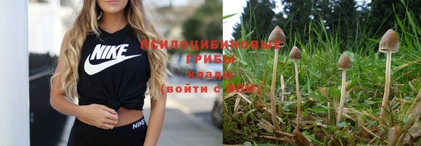 не бодяженный Хадыженск